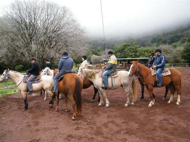 טיול סוסים בצפון הגולן