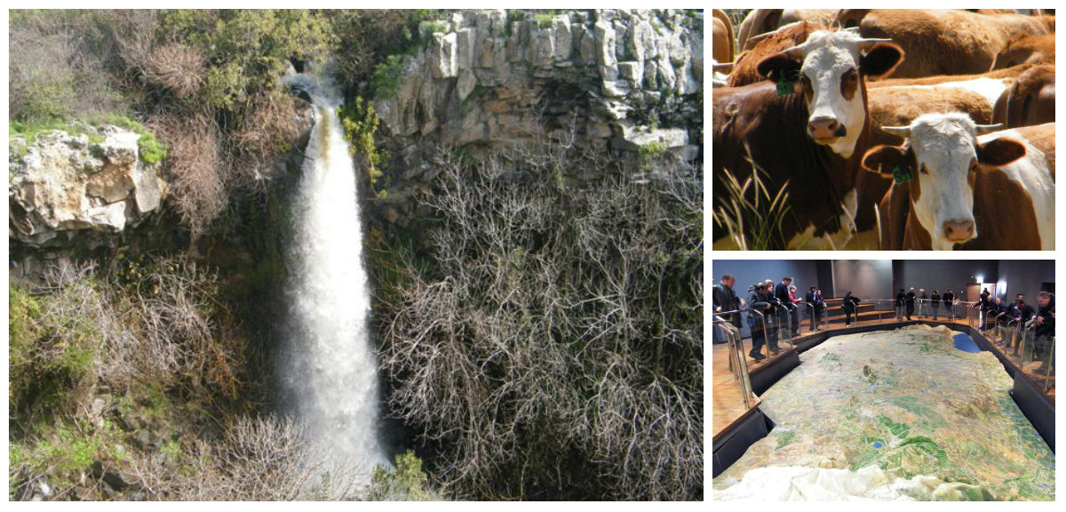 יום כיף לעובדים בצפון