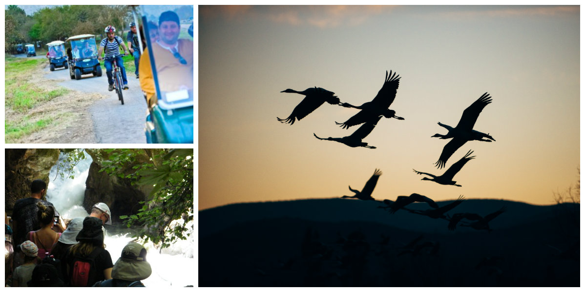 טיול גיבוש לצפון