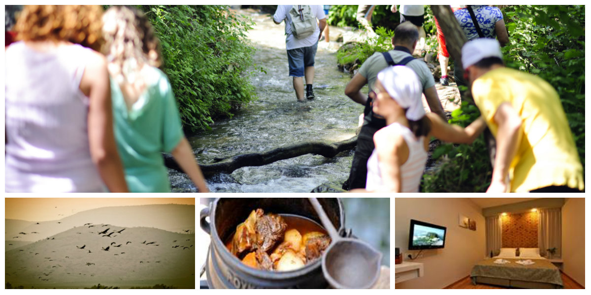 נופש עובדים בצפון