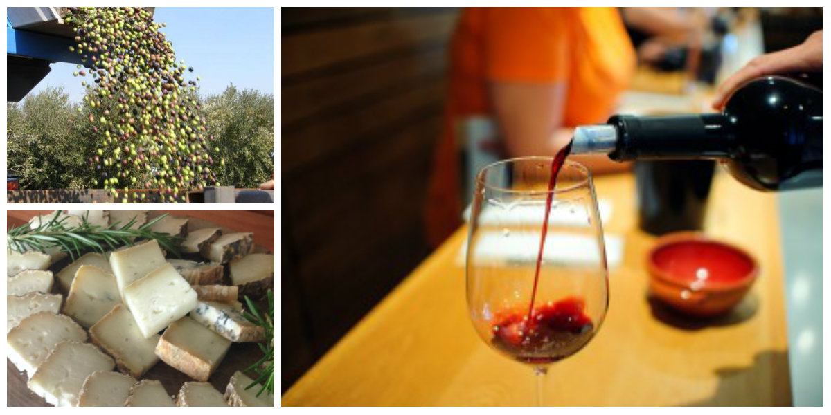 יום כיף וגיבוש בצפון