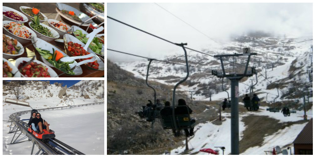 ימי גיבוש לעובדים בצפון