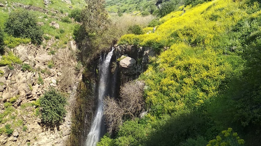 מפל הג'ילבון