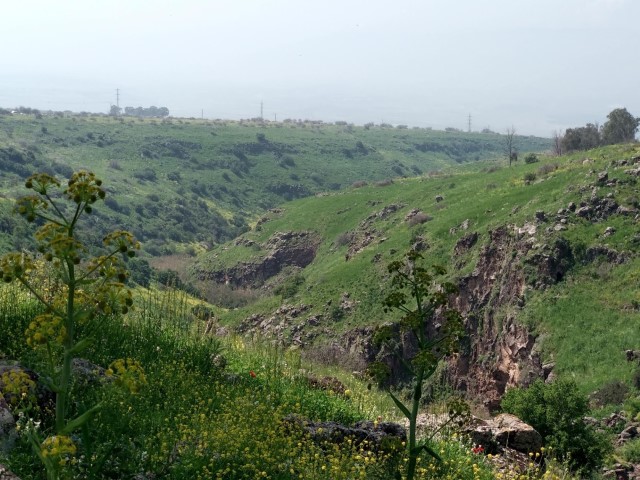 טיול בג'ילבון