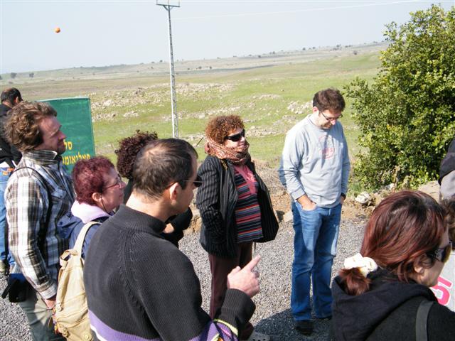 פלאומגנטיזים בצפון